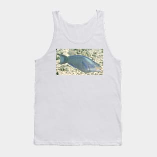 Parrot Fish Tank Top